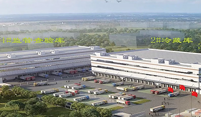 金諾冷鏈，見證大森速度